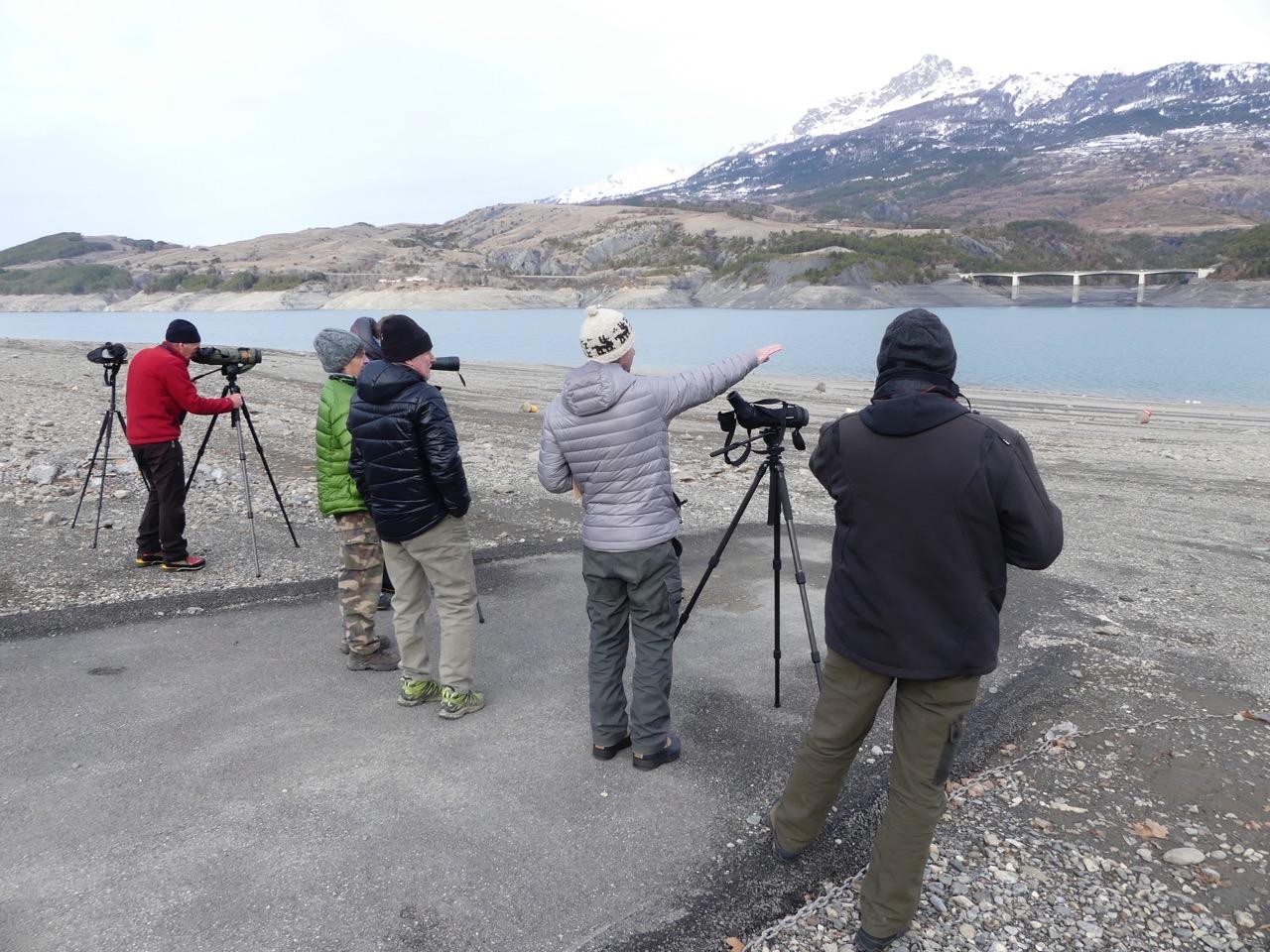 Comptage oiseaux d'eau Wetlands © photo JP Coulomb LPO