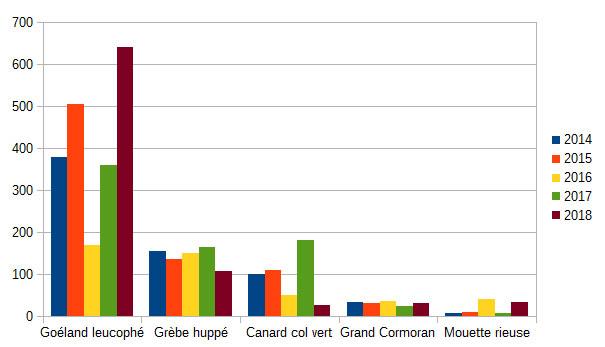 Répartition numérique des principales espèces observées lors des comptages wetlands  sur le lac de Serre Ponçon