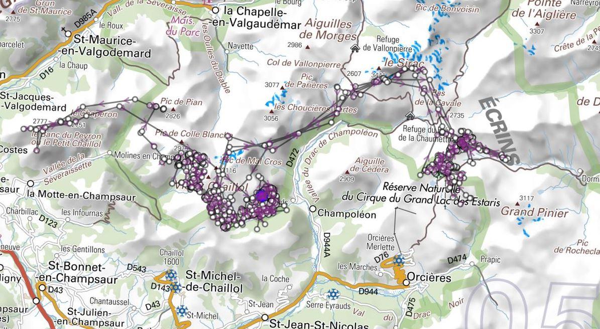 Champsaur - ibex 2017 - Parc national des Écrins