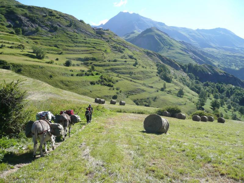 Sentiers panoramiques des Ecrins ©Arielle Raguideau