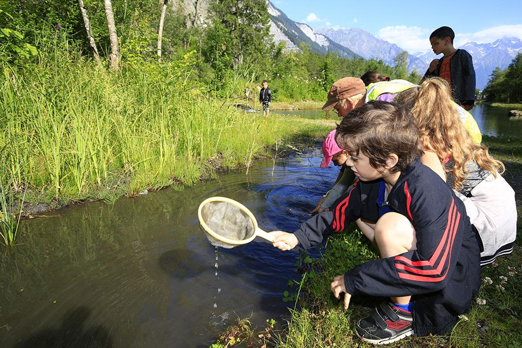 Dans la mare - Ecrins de nature 2018 au Bourg d'Oisans - © T.Maillet - Parc national des Ecrins