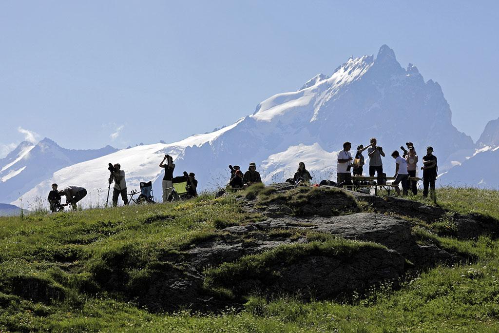 Grands rapaces au col de Sarenne avec Envergures Alpines  - Ecrins de nature - juin 2018 Bourg d'Oisans - © P.Saulay - Parc national des Ecrins