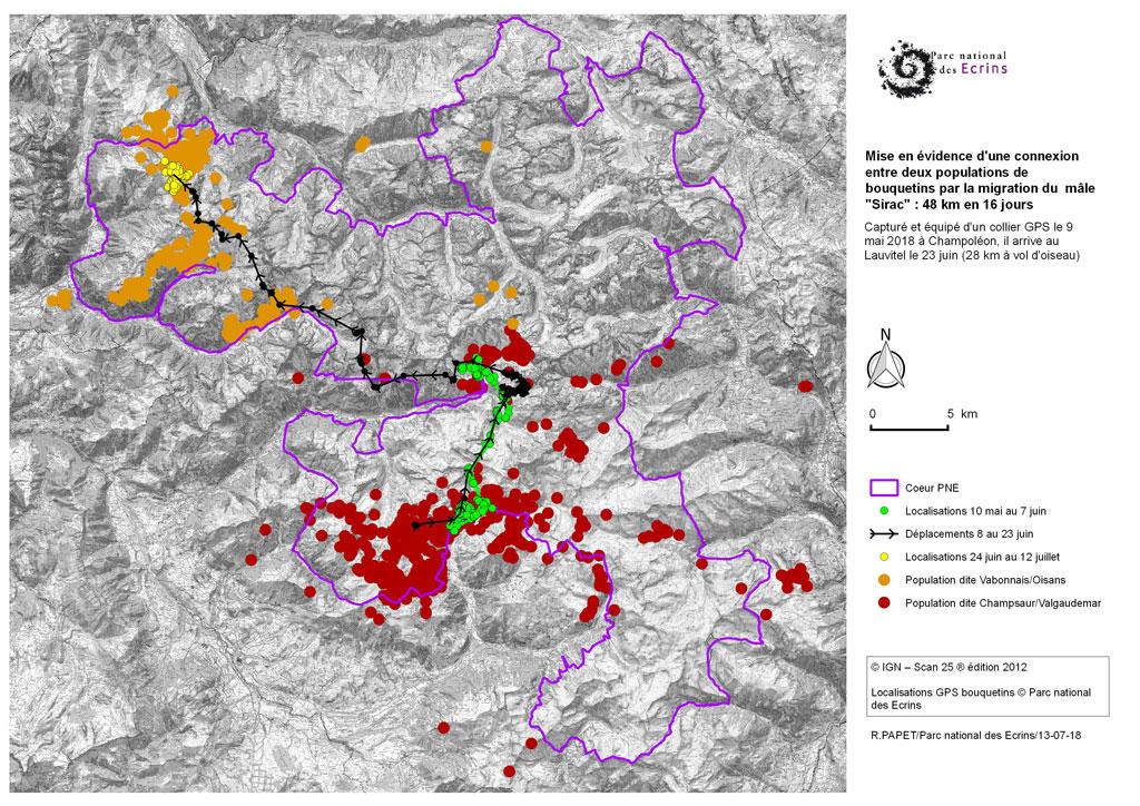 Migration Sirac 2018 © Parc national des Écrins