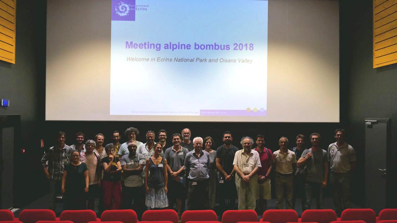 séminaire Bourdons alpins - juillet 2018 © D.Combrisson - Parc national des Écrins