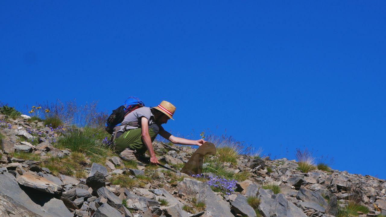 séminaire Bourdons alpins - juillet 2018 © D.Combrisson - Parc national des Écrins