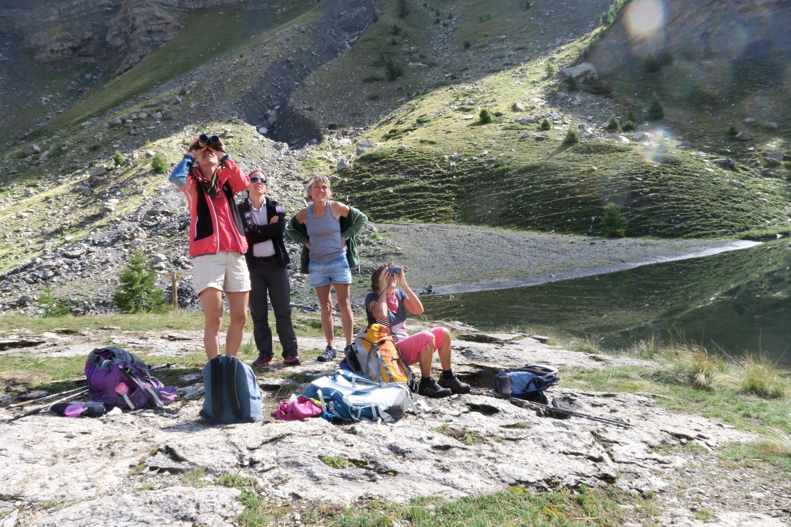 Observation des vautours et des aigles © Justine Lluengo - Parc national des Ecrins