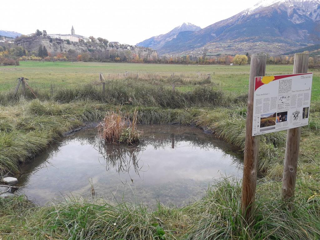 travaux mares sonneurs - novembre 2018 - Parc national des Écrins