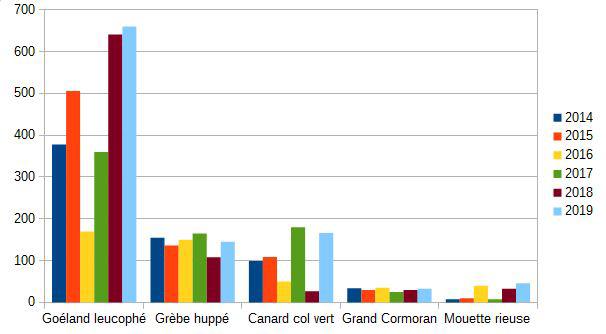 graphique résultats Wetlands Serre-Ponçon 2019