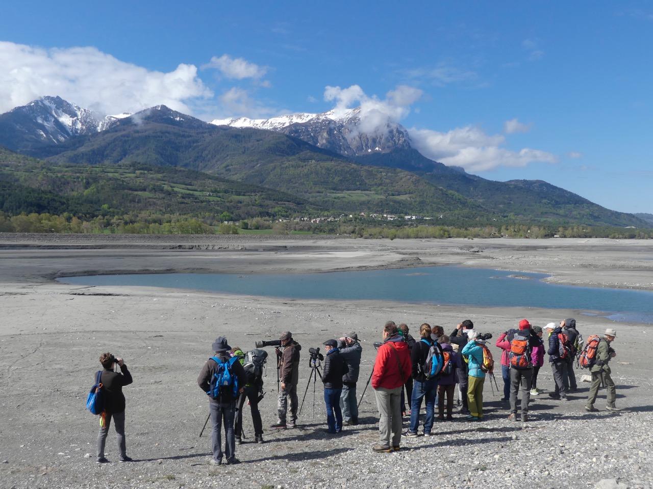 Observation migrateurs - mai 2019 © Parc national des Écrins