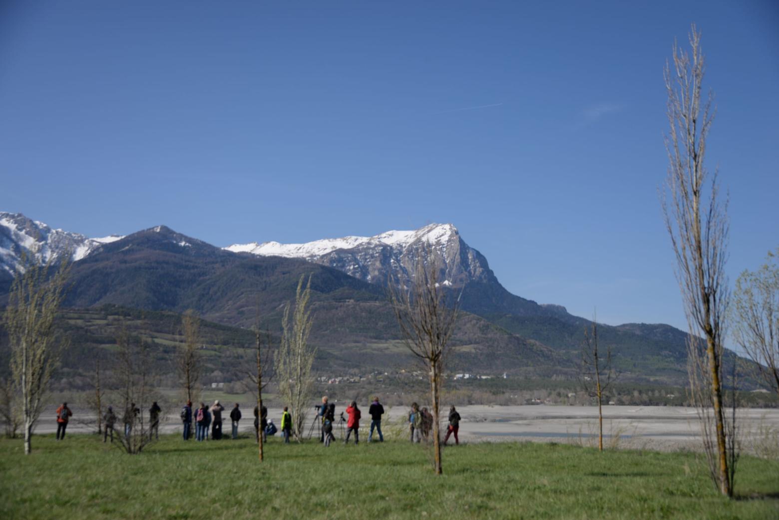 observation oiseaux migrateurs- avril 2019- © Nans Denis - Parc national des Écrins