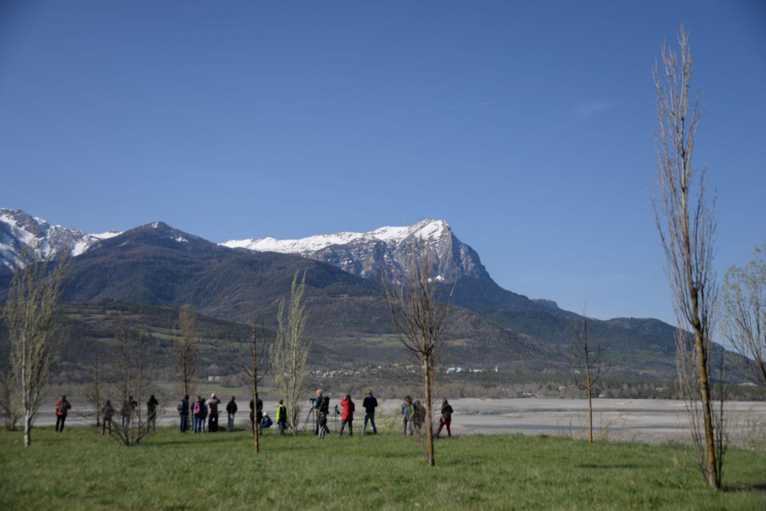 observation oiseaux migrateurs- avril 2019- © Nans Denis - Parc national des Écrins