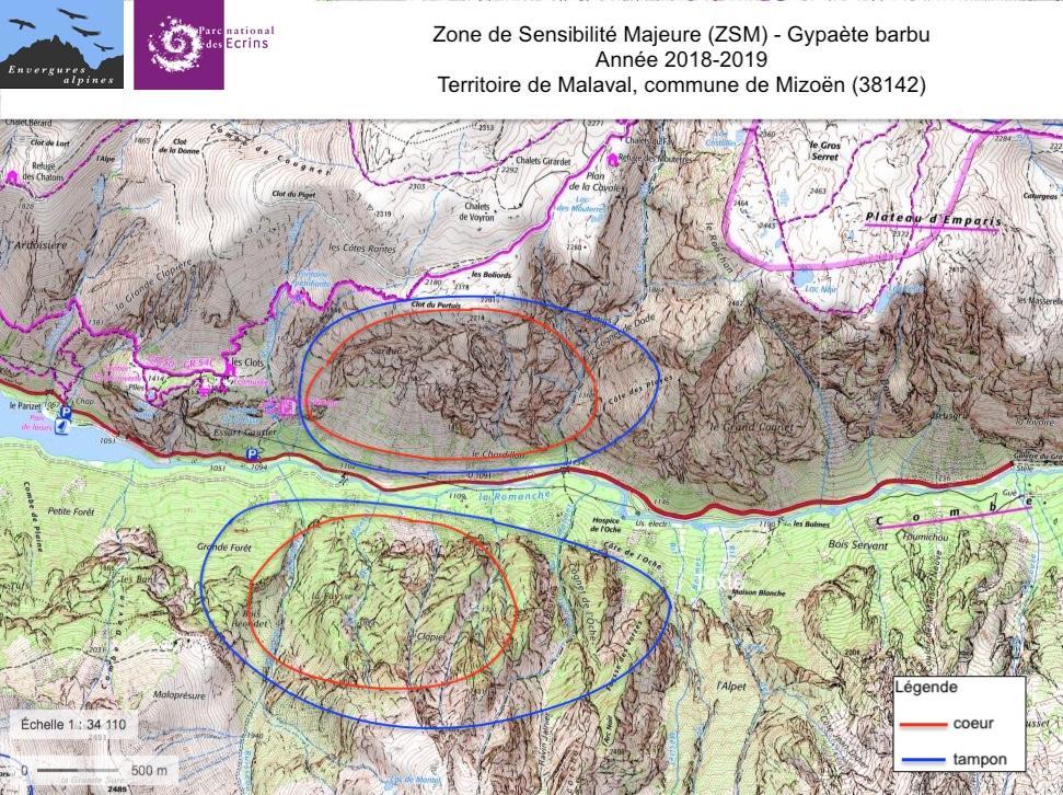 carte de la zone sensibilité majeure (ZSM) - gypaète des Ecrins - pour l'année 2018-2019