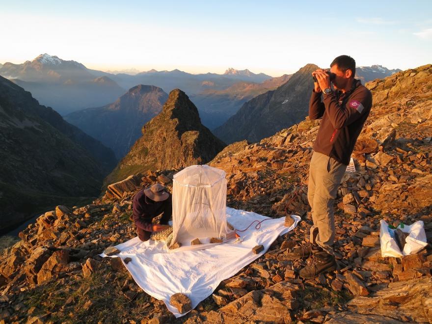 inventaire dans la réserve intégrale du Lauvitel © Parc national des Écrins