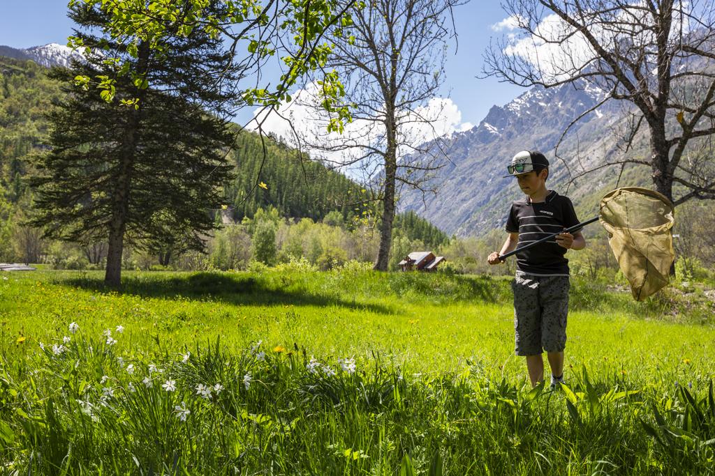 insectes -  scolaires -Ecrins de nature 2019 - Vallouise - photo T.Maillet - Parc national des Ecrins