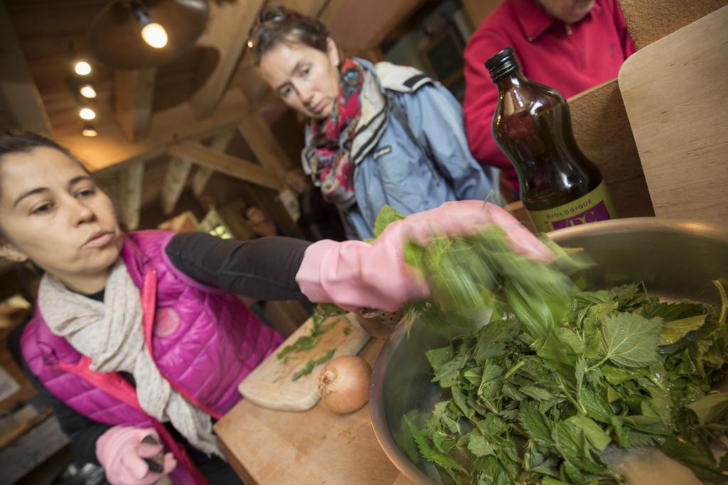 Cueillette et cuisine sauvage avec le gite "Au fil de l'onde" _ Ecrins de nature 2019 à Vallouise - © P.Saulay-Parc national des Ecrins