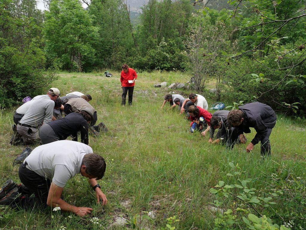 formation araignées à Vallouise - juin 2019 - photo M.G Nicolas - Parc national des Ecrins