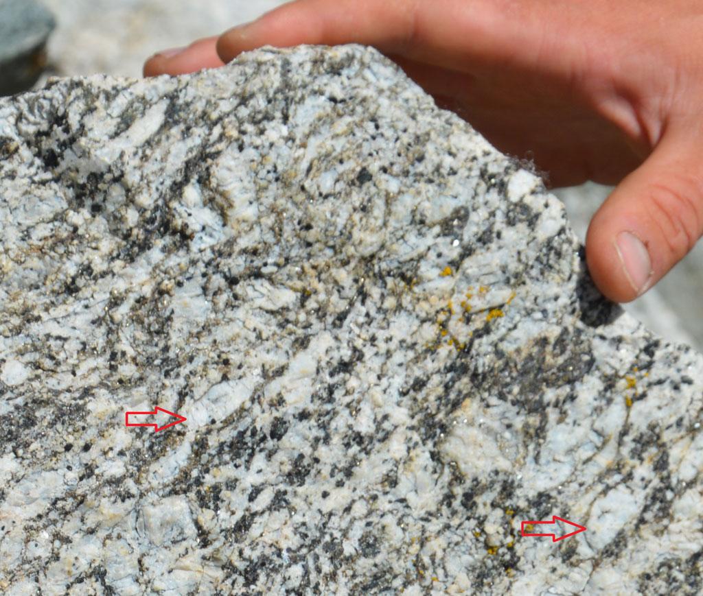 Gneiss oeillé Valgaudemar, avec de beaux yeux cristallés dans le gneiss © Julien Guilloux - Parc national des Ecrins