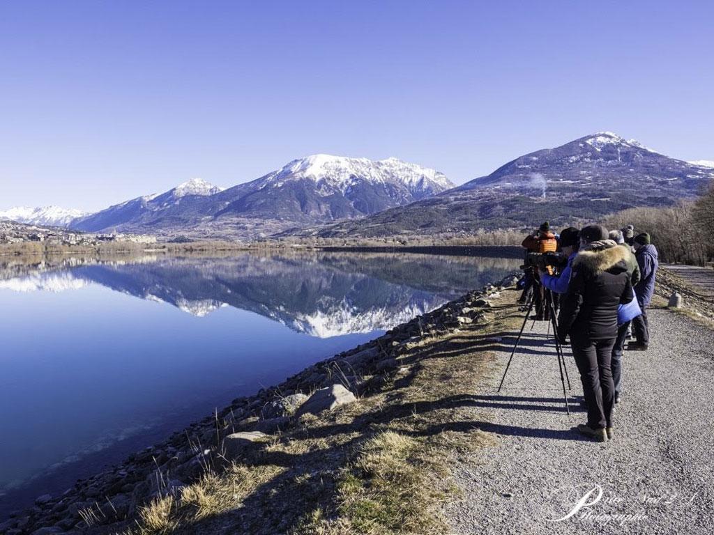 Comptage wetlands interational à serre ponçon - 2020 - photo Nadine Budin