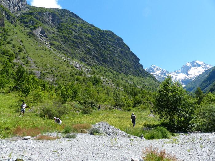 Les entomologistes du Grenha travaillent à l'nventaire des invertébrés dans le Valgaudemar - juin 2020