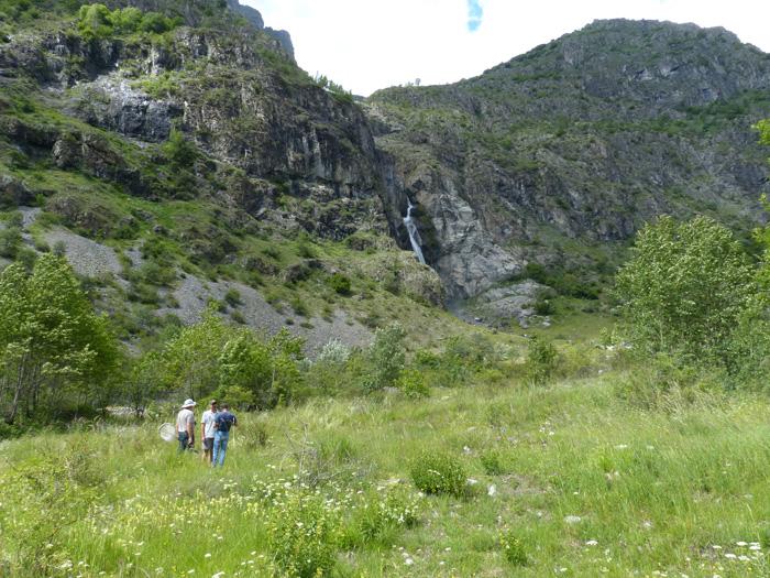 Les entomologistes du Grenha travaillent à l'nventaire des invertébrés dans le Valgaudemar - juin 2020