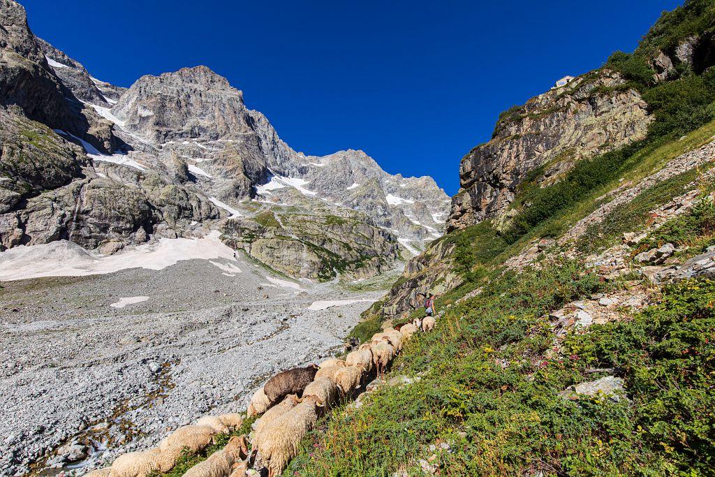 Montée à l'alpage de Peyre Arguet - © T. Maillet - PNE