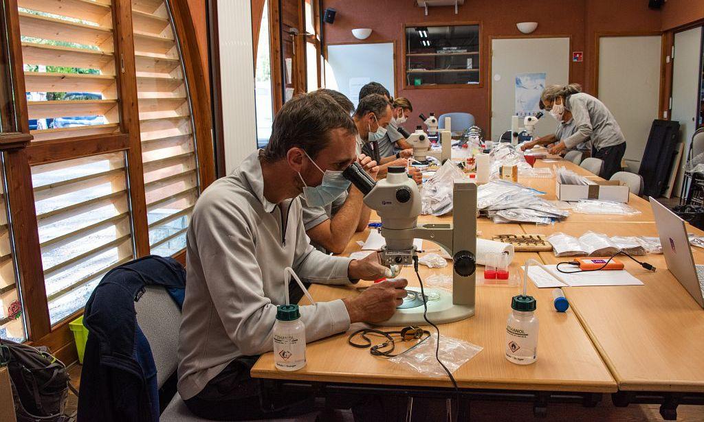 Groupe invertébrés, tri et préparation des échantillons du protocole litière - © M. Coulon - PNE