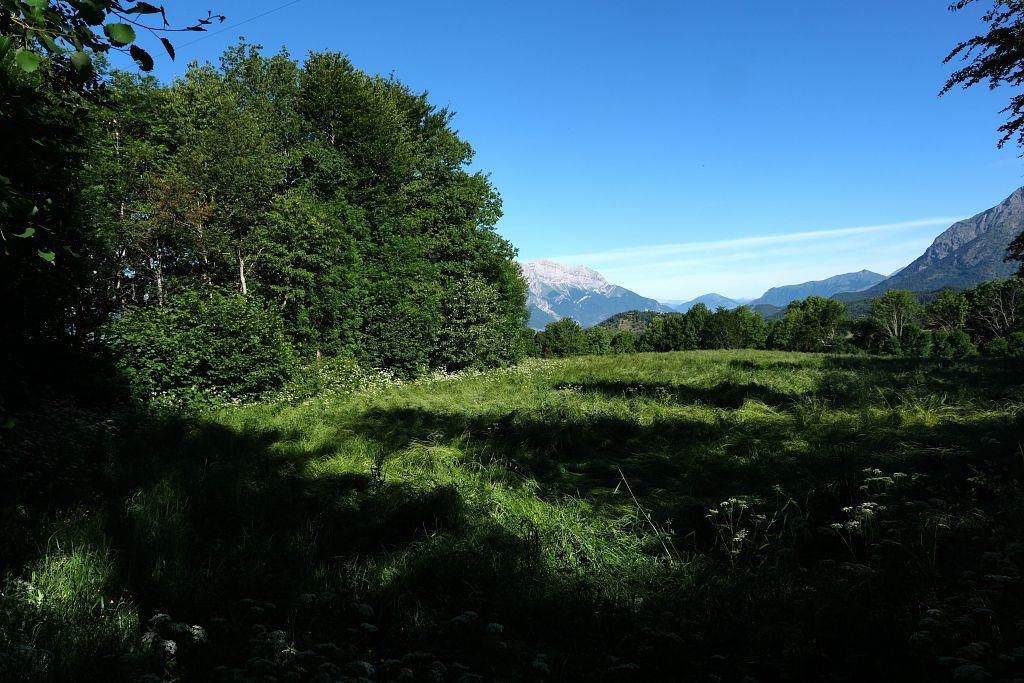 Concours agroforesterie chez Jean-Luc Motte à Saint-Bonnet en Champsaur. Parcelle gagnante - © D. Vincent - PNE