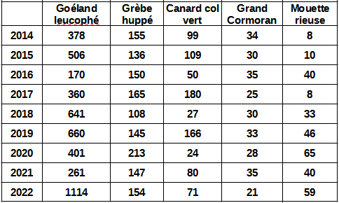 Résultats des comptages des principales espèces d’oiseaux d’eau sur le lac de Serre-Ponçon depuis 2014