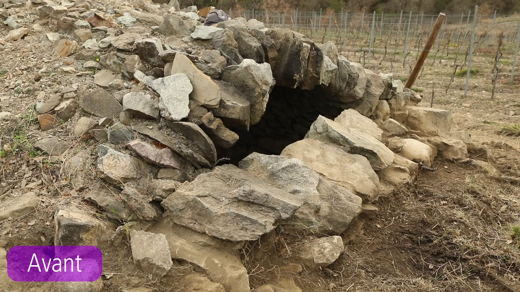 Cabane de vigne avant restauration © T. Maillet - PNE