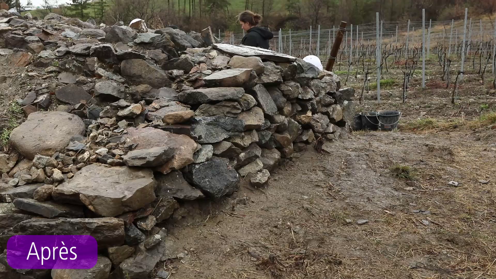 Cabane de vigne après restauration © T. Maillet - PNE