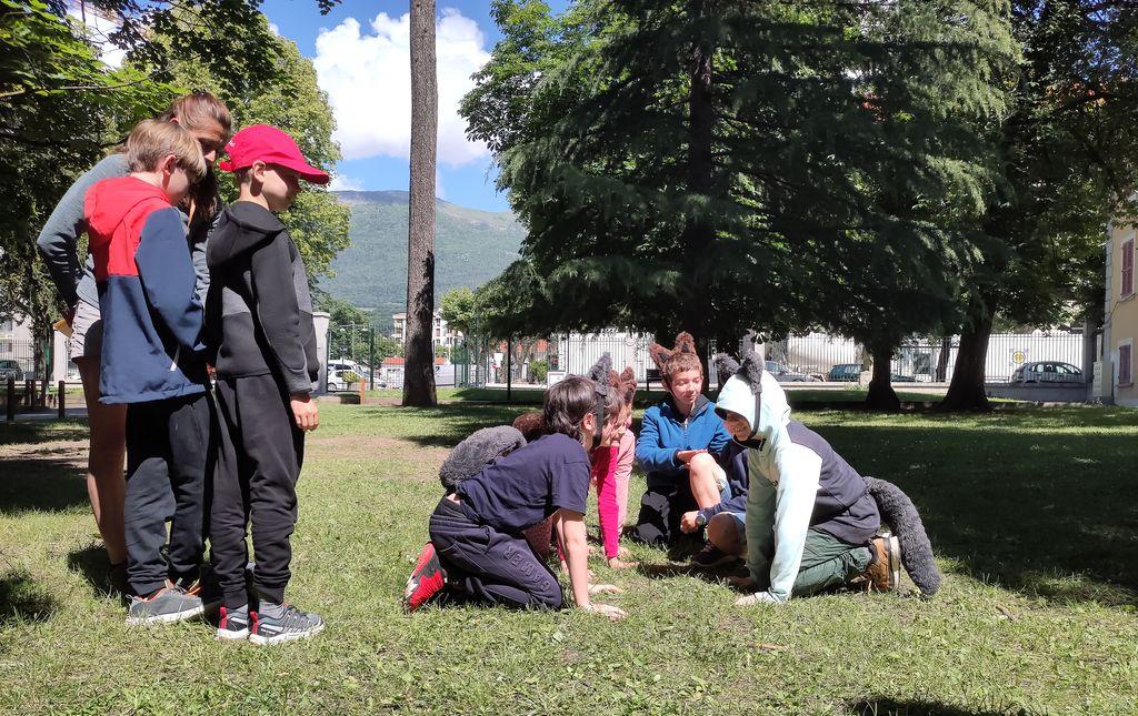Animation autour du loup © B. Bignet - PNE