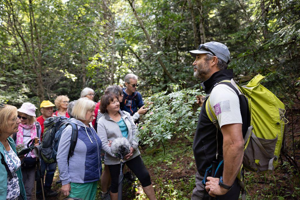 Sortie handinature dans le vallon du Fournel © O. Sabatier - PNE