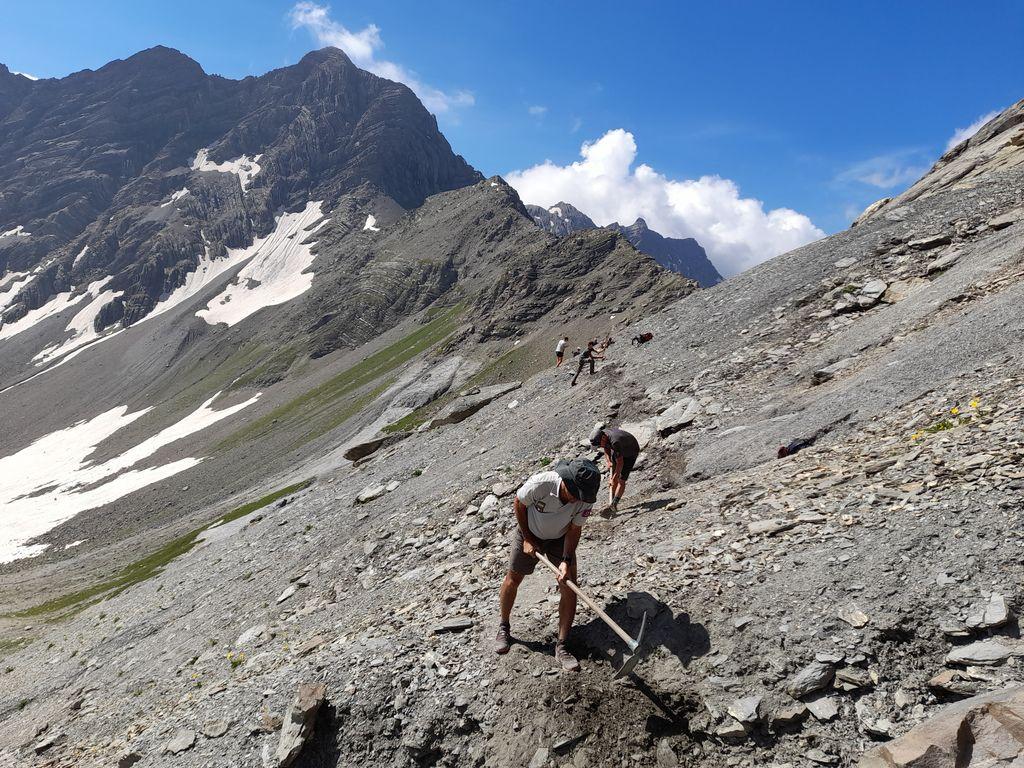 Chantier collectif entre le pas de la Cavale et le col de l'Aup Martin © M. Magen - PNE