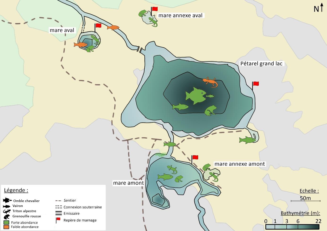 Cartographie des différents plans d'eau de Pétarel