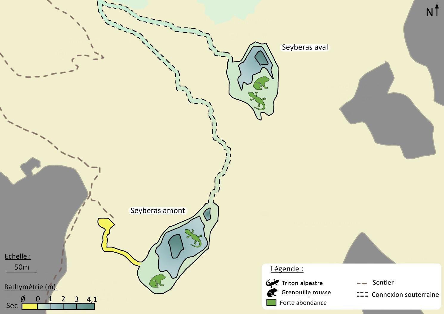 Cartographie des différents plans d'eau de Seyberas