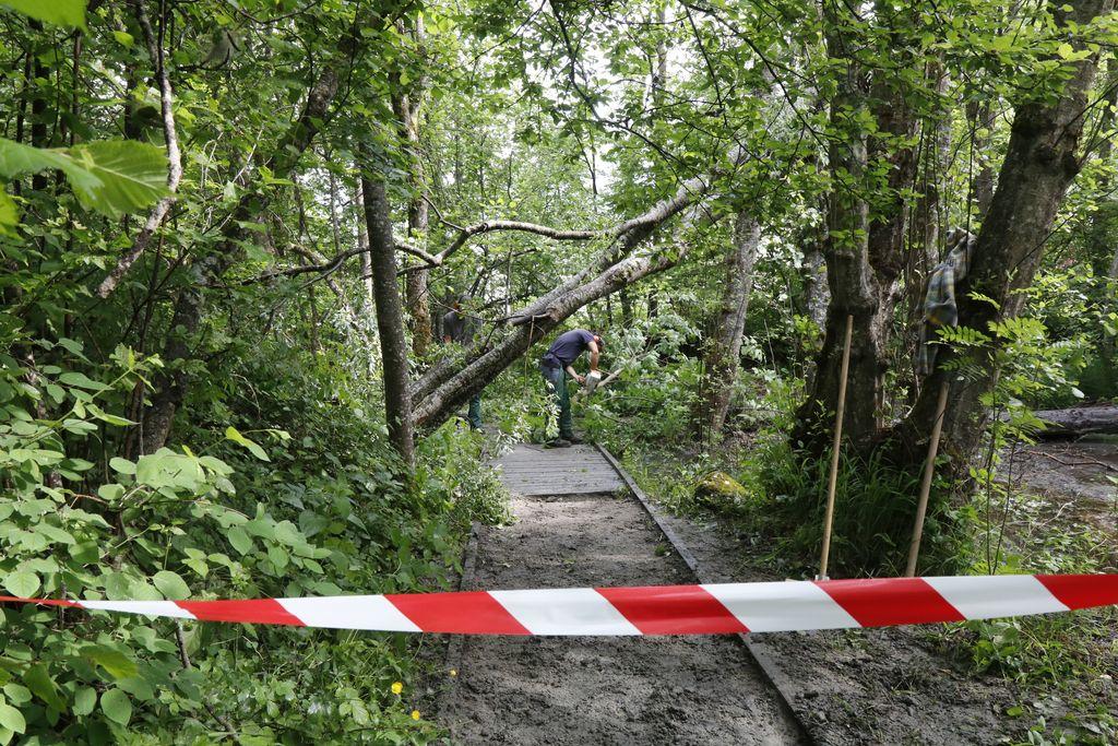 Chantier collectif sur le sentier d'interprétation de la maison du Parc de Vallouise © Xavier Kieser - PNE