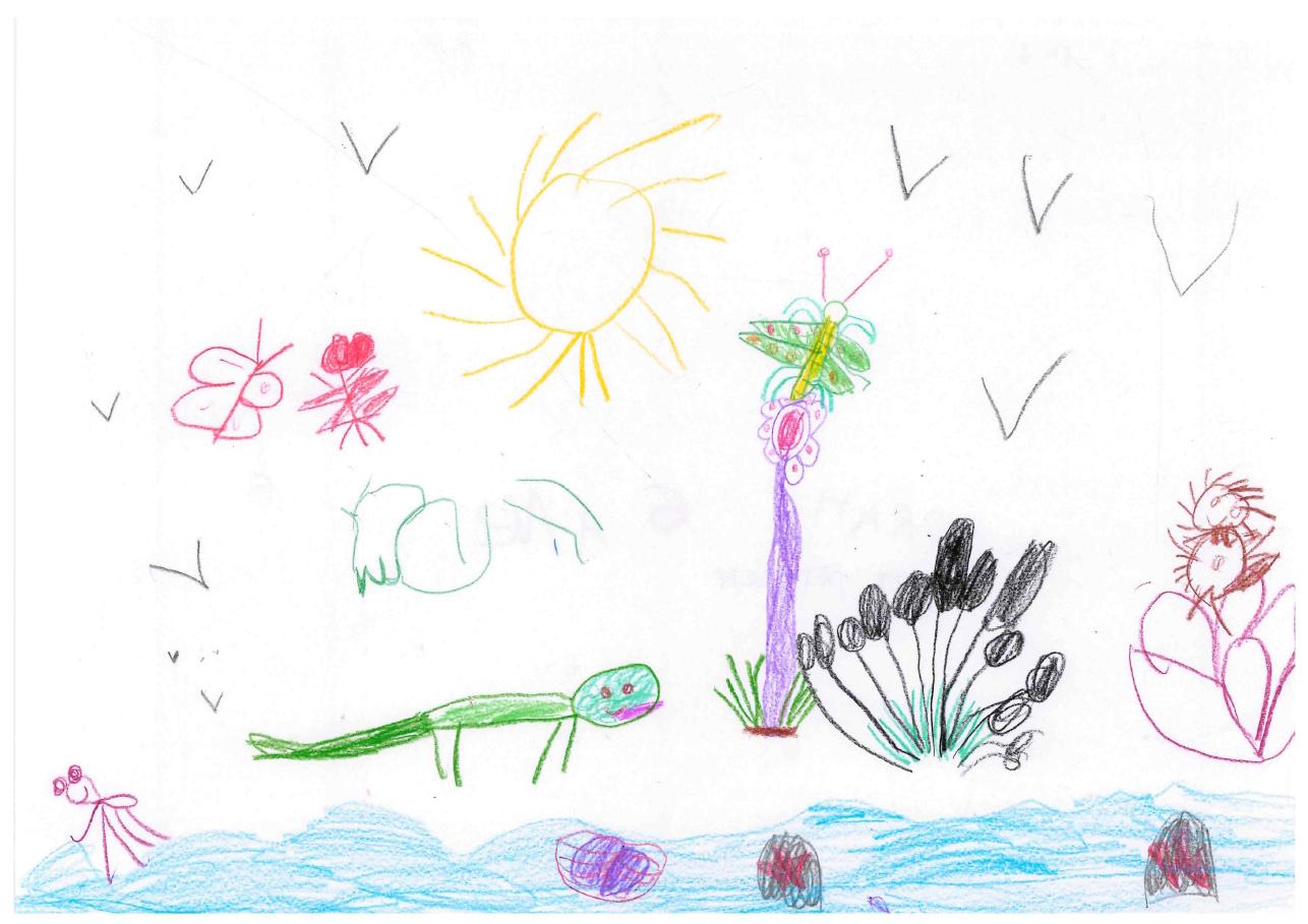 © Norah MOINET PEITSCH