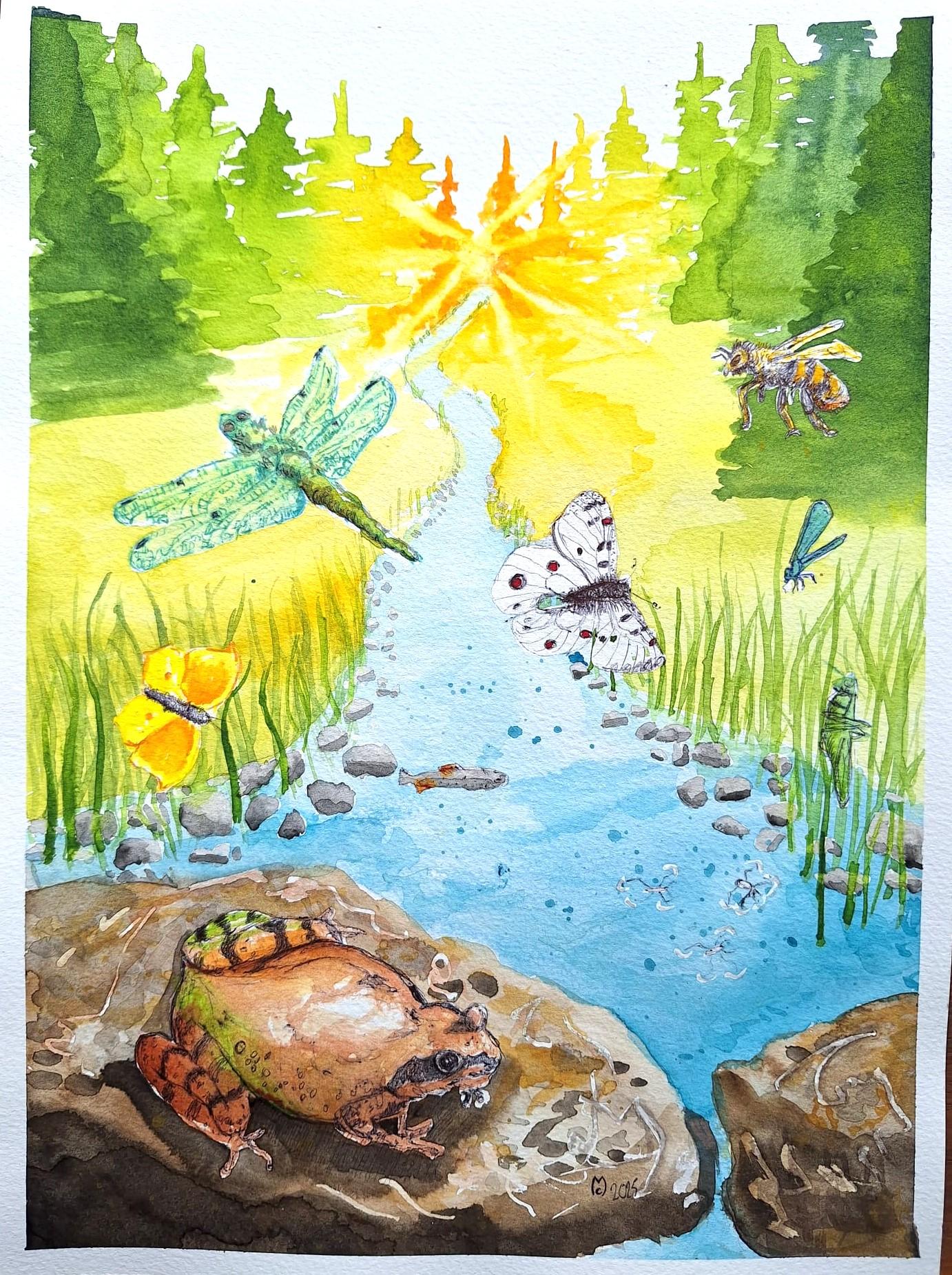 © Chrystelle MARGARIA