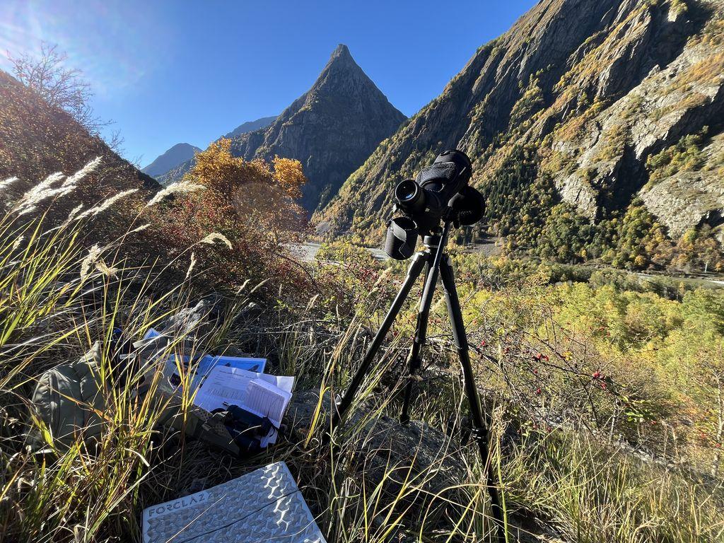 Comptage international des gypaètes barbus - poste en Oisans © Kassandra Bertolini