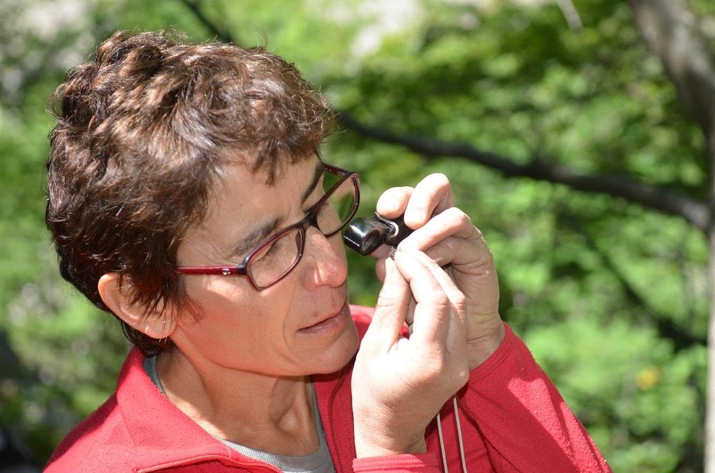 Observation d'un charbon ©Denis Fiat PNE