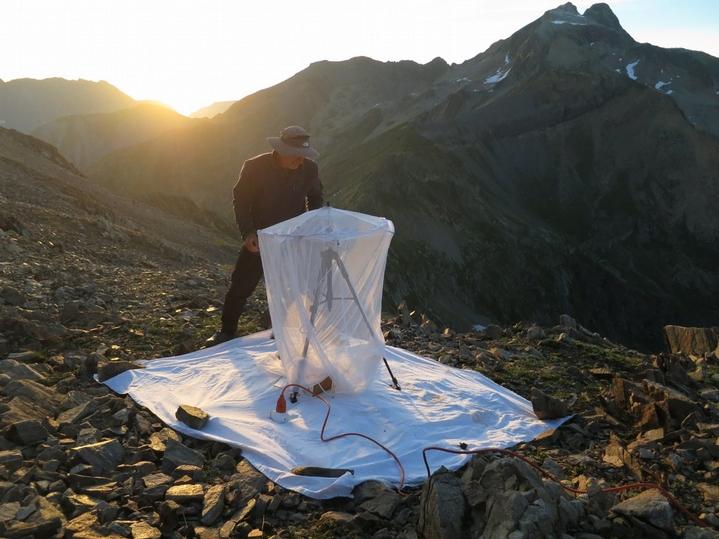 Inventaire nocturne des papillons ©N.Bertrand