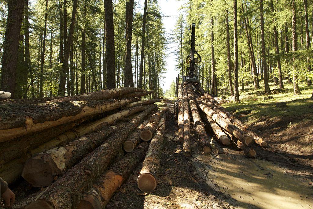 ICONO, La forêt -  travaux forestiers - filières bois © Jean-Philippe Telmon - Parc national des Ecrins