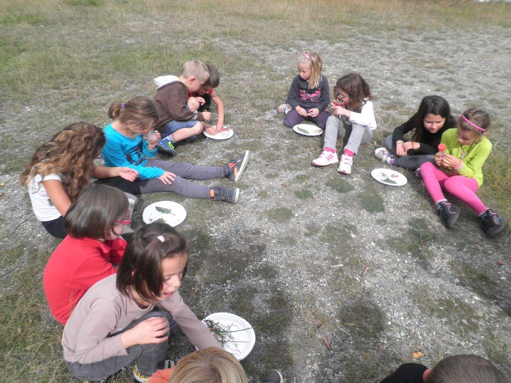 intervention pédagogique - école de Pelvoux - 2014-2015 - Parc national des Ecrins