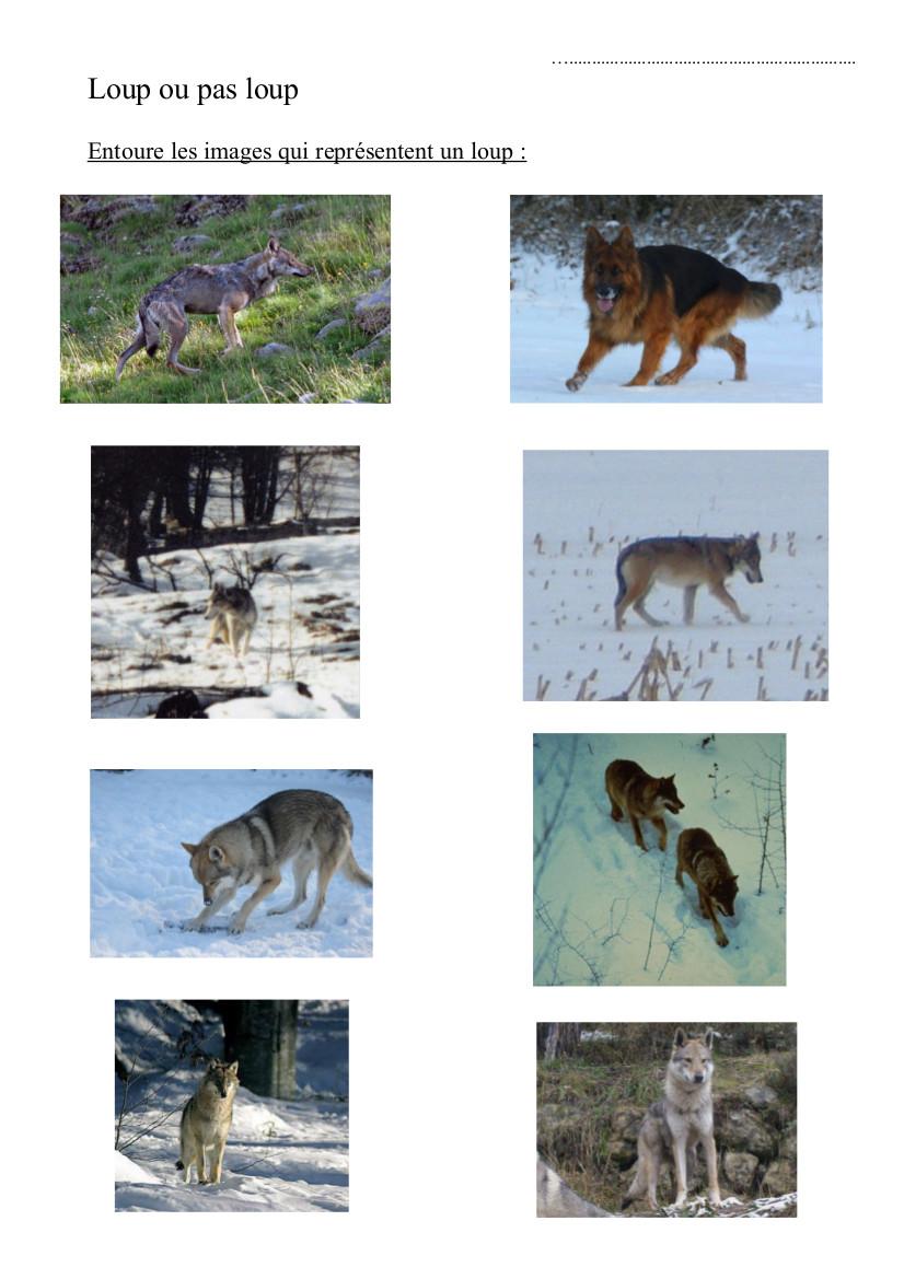 bourg d'oisans - école des Sables 2014-2015 - avec le Parc national des Ecrins