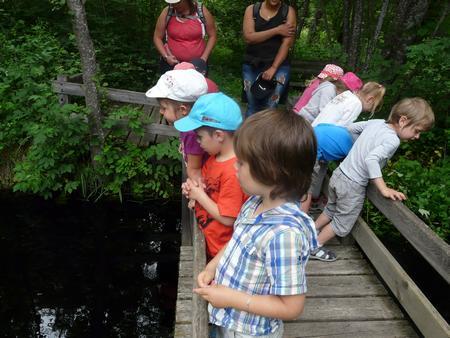 Ecole du Monêtier-les-Bains-programmes avec le Parc national des Ecrins- 2014-2015