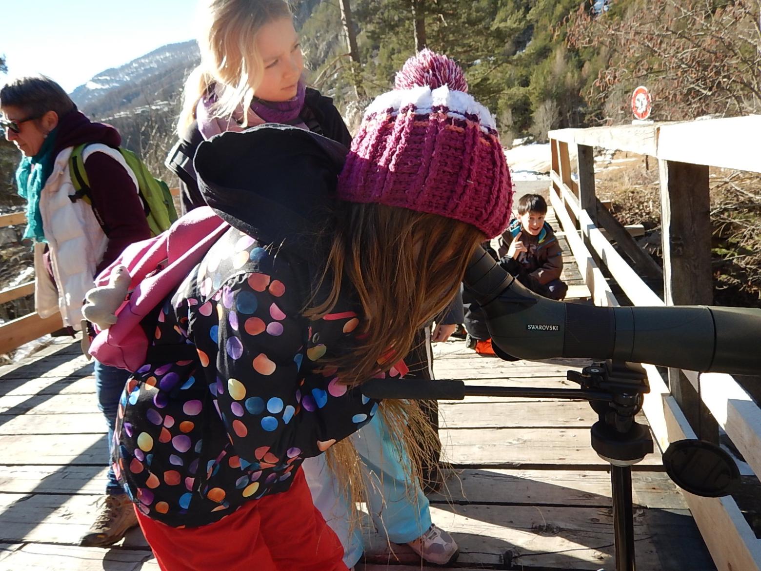 ecole freissinières - cincle plongeur - projet avec le Parc national des Écrins