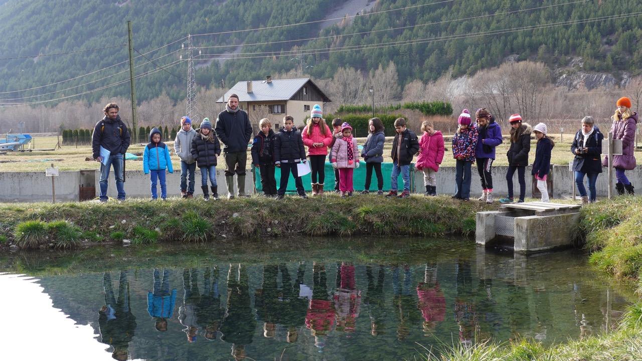 école de Freissinières - dec 2015 - visite à la pisciculture avec le Parc national des Ecrins