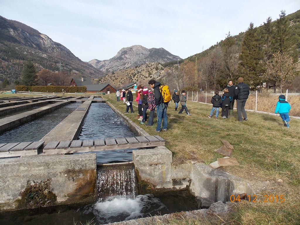 école de Freissinières - dec 2015 - visite à la pisciculture avec le Parc national des Ecrins