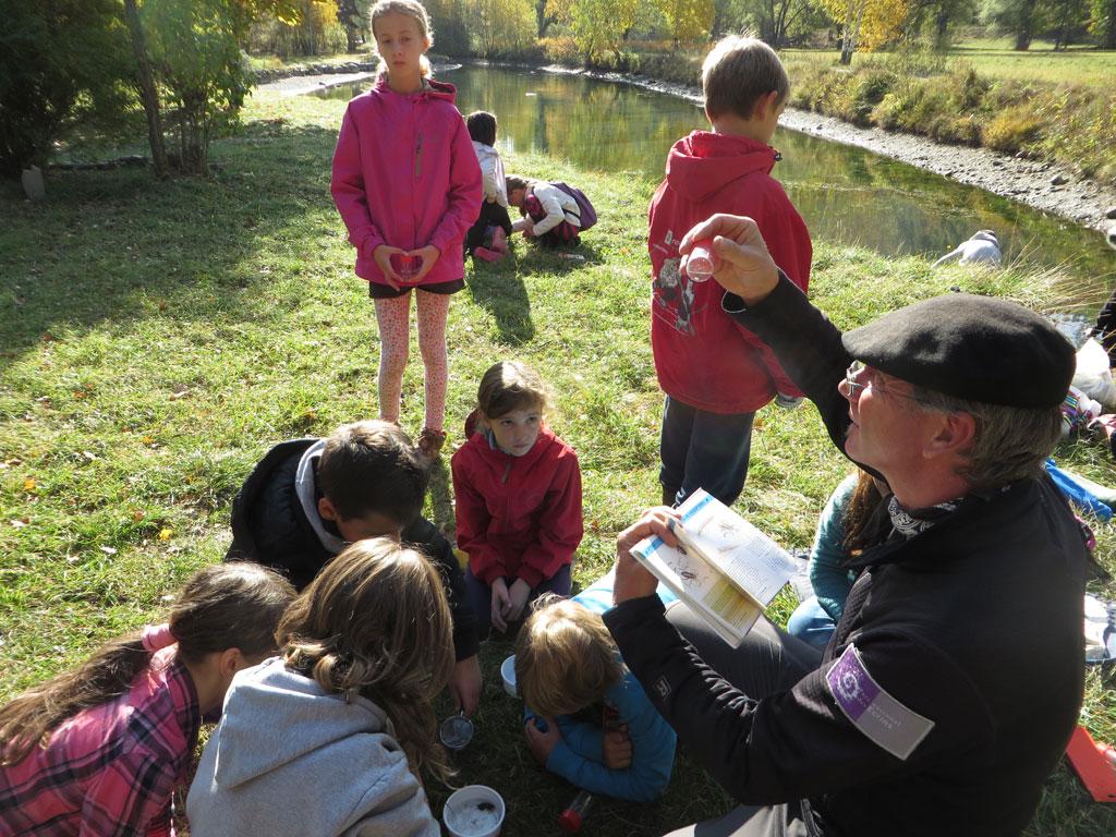 école de Freissinières - oct 2015 - sortie invertébrés vers la Biaysse - Parc national des Ecrins