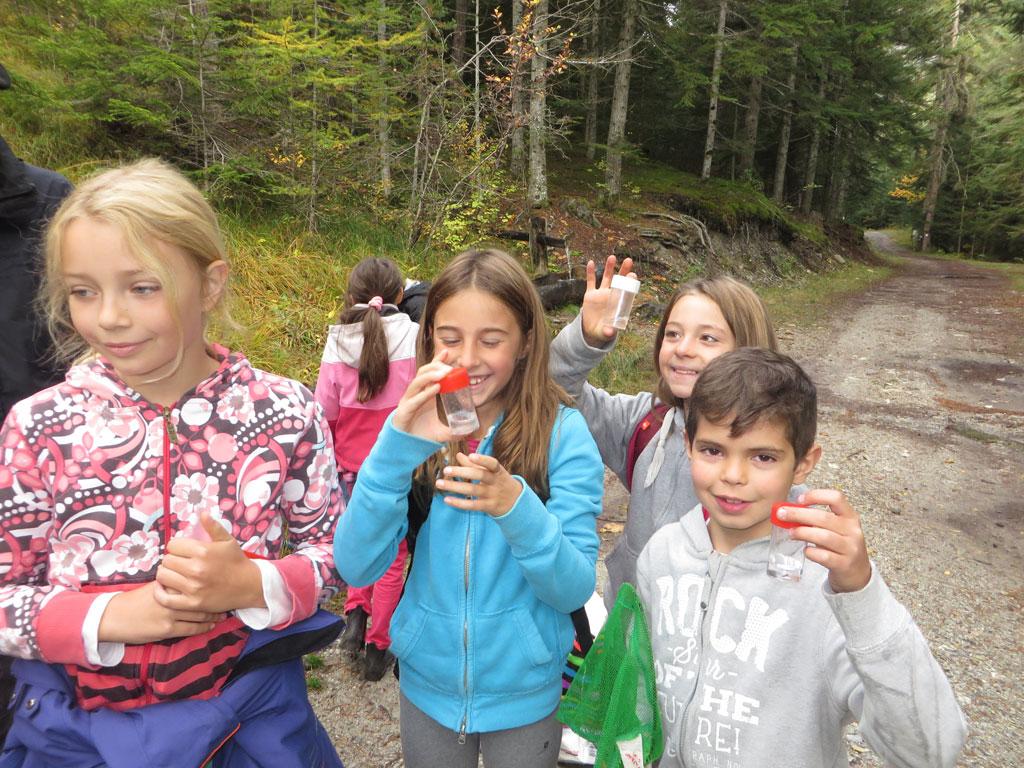 école de Freissinières - oct 2015 - sortie invertébrés vers la Biaysse - Parc national des Ecrins